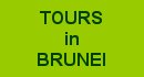 Tours in Brunei